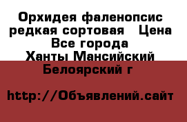 Орхидея фаленопсис редкая сортовая › Цена ­ 800 - Все города  »    . Ханты-Мансийский,Белоярский г.